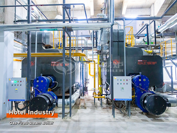 6 TPH Natural Gas Steam Boilers for Hotel Industry